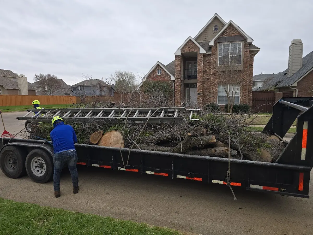 Expert Tree Fertilization with proper safety equipment in Madison